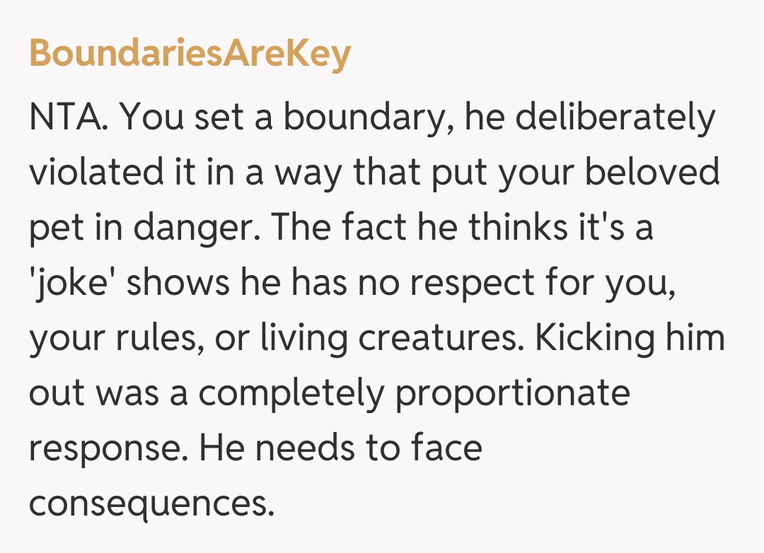 Comentariu de la BoundariesAreKey