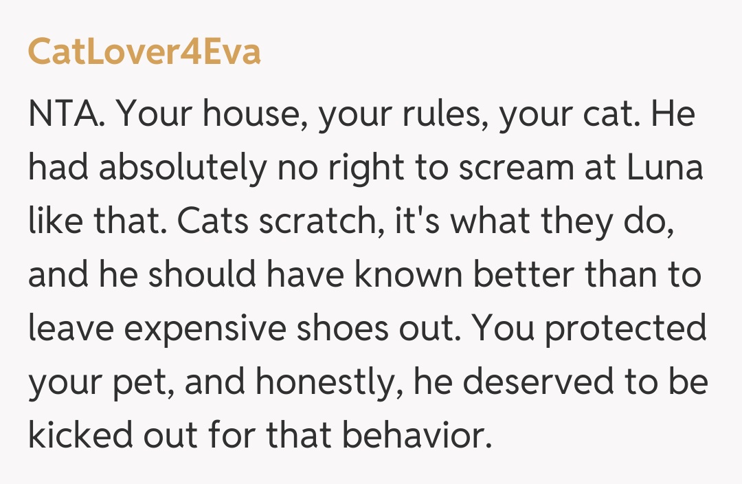 Comentariu de la CatLover4Eva