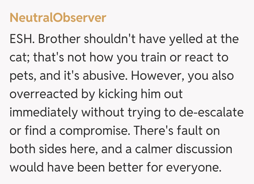 Comentariu de la NeutralObserver
