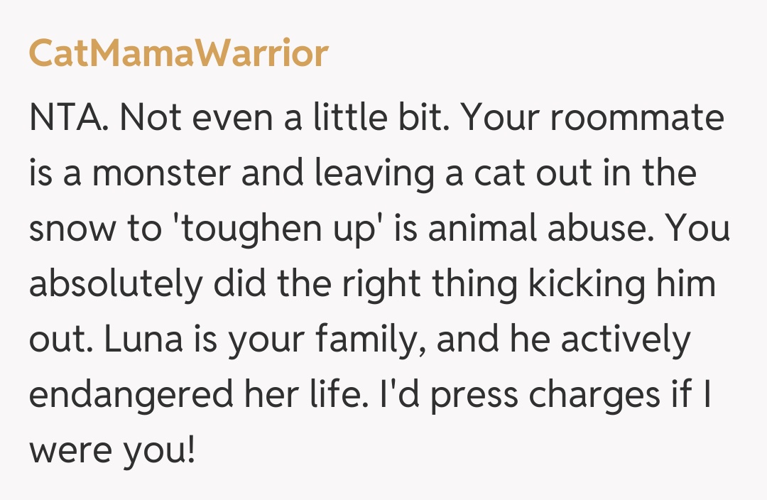 Comentariu de la CatMamaWarrior