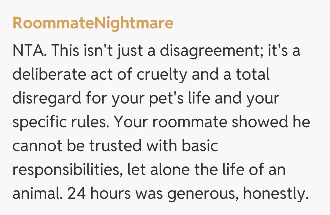 Comentariu de la RoommateNightmare