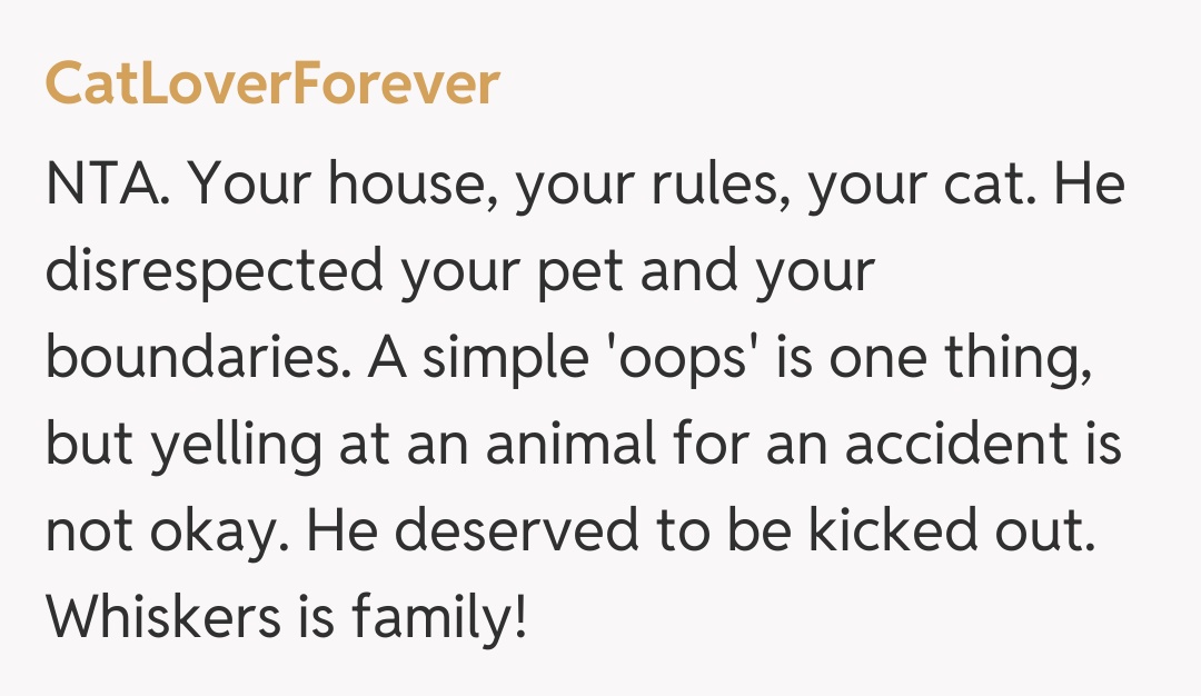 Comentariu de la CatLoverForever