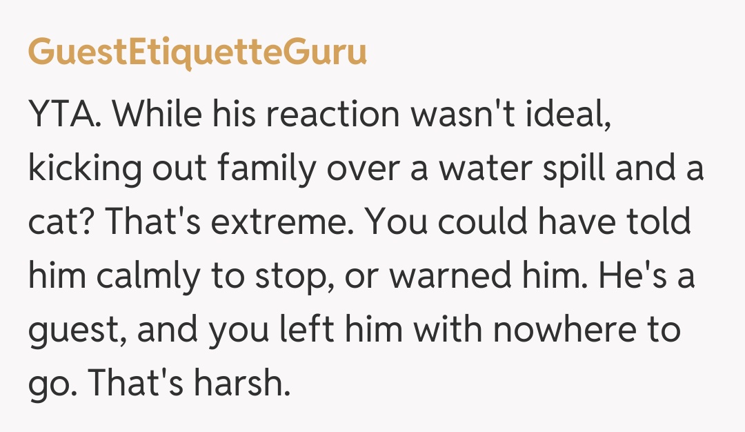 Comentariu de la GuestEtiquetteGuru