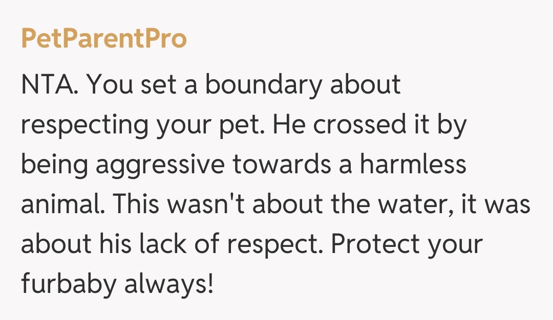 Comentariu de la PetParentPro