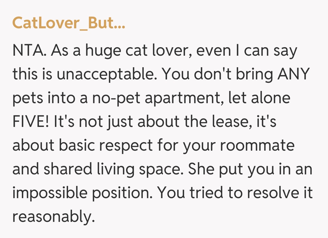 Comentariu de la CatLover_But...