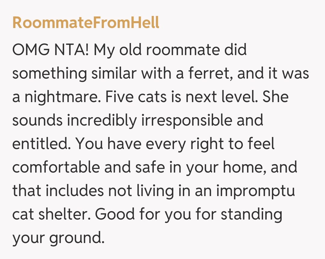 Comentariu de la RoommateFromHell