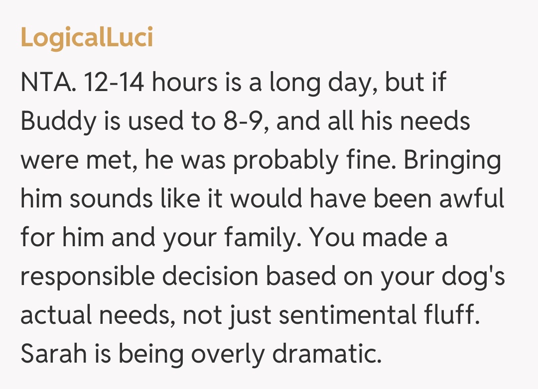 Comentariu de la LogicalLuci