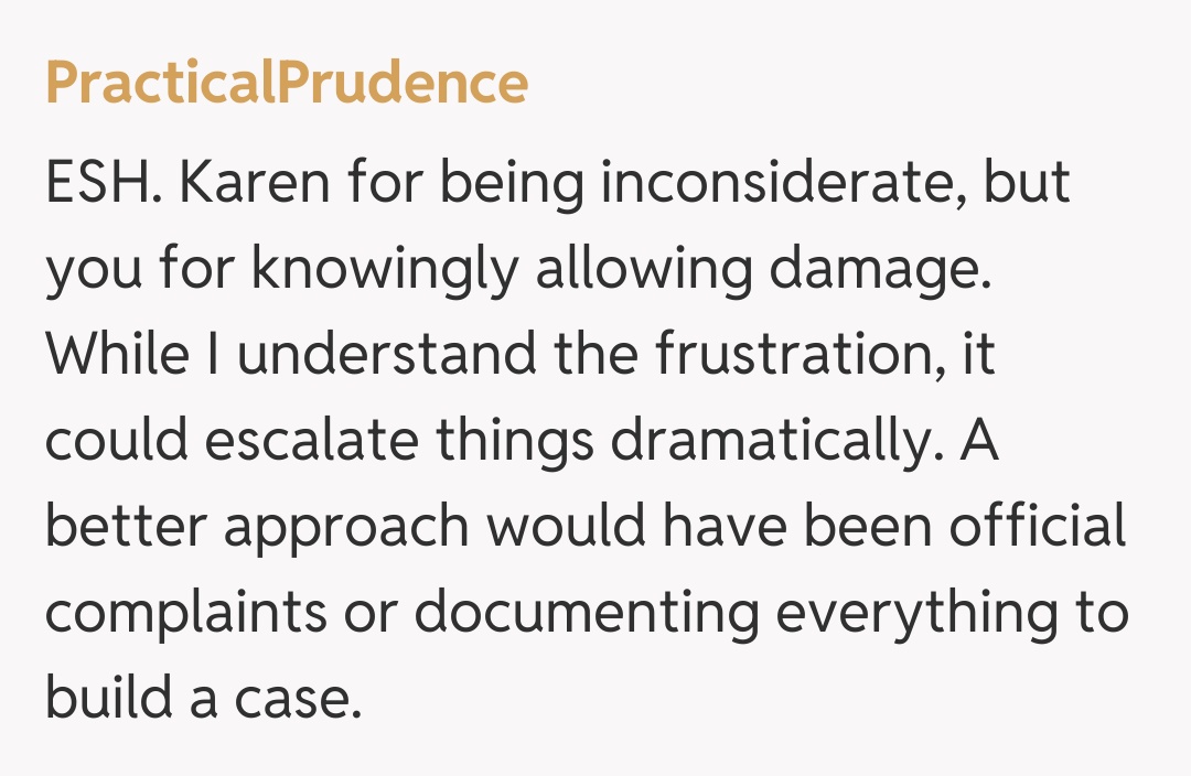 Comentariu de la PracticalPrudence