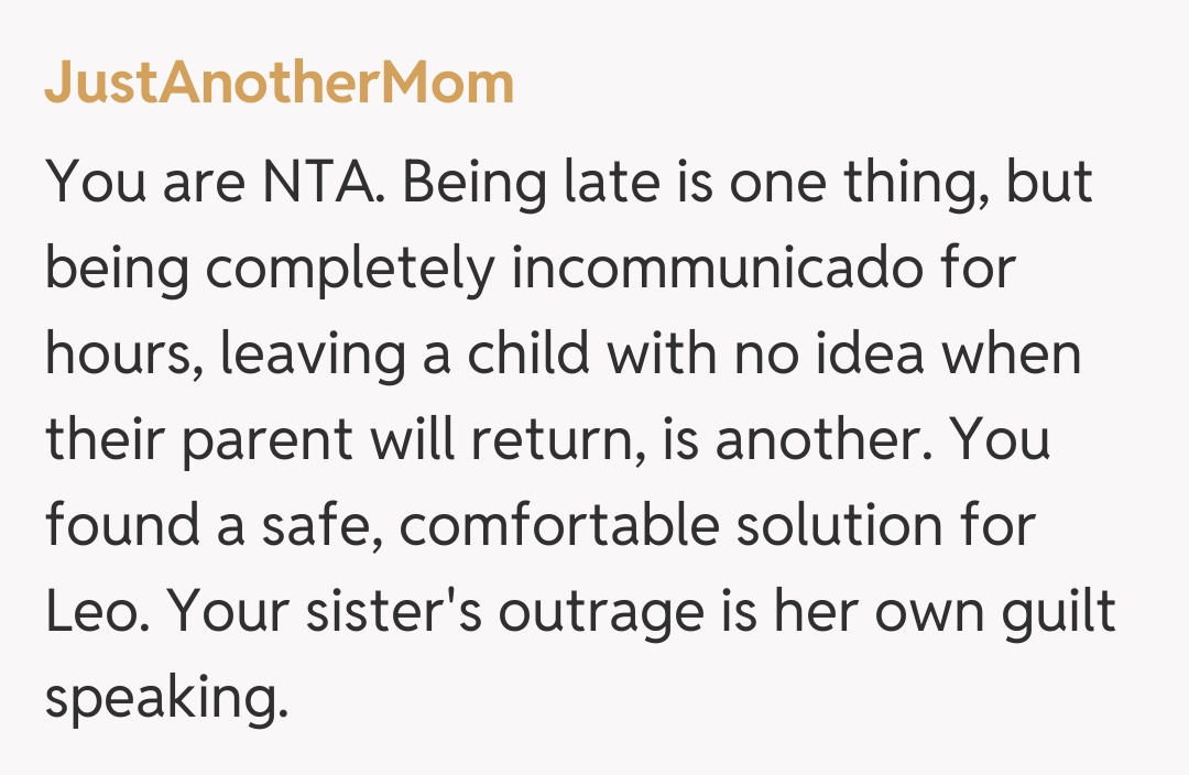 Comentariu de la JustAnotherMom