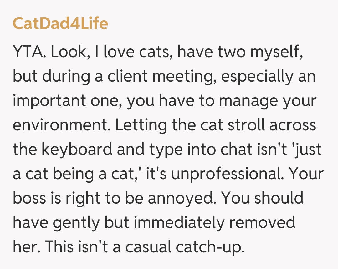 Comentariu de la CatDad4Life
