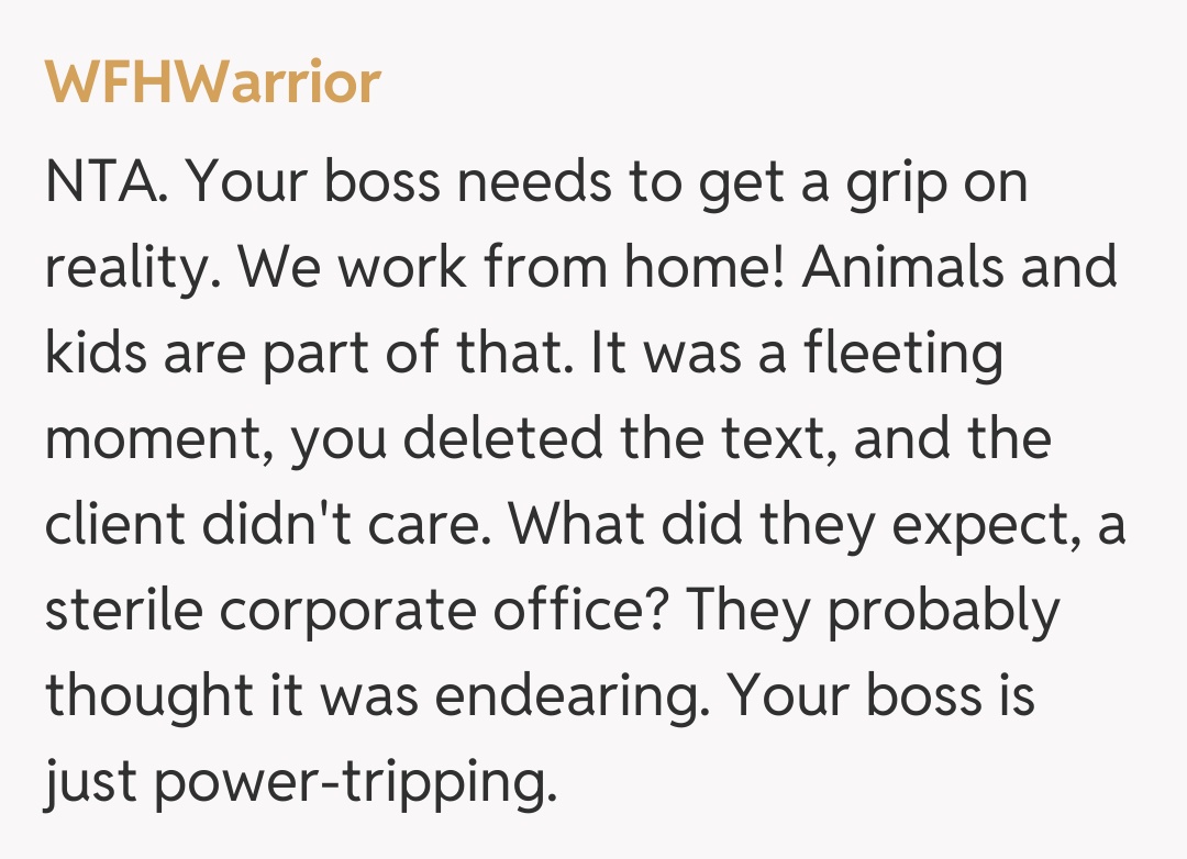 Comentariu de la WFHWarrior
