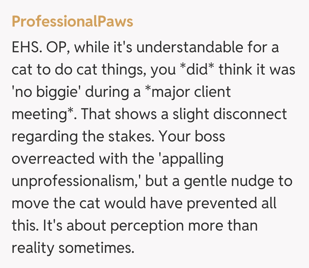 Comentariu de la ProfessionalPaws