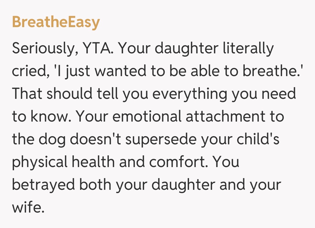 Comentariu de la BreatheEasy