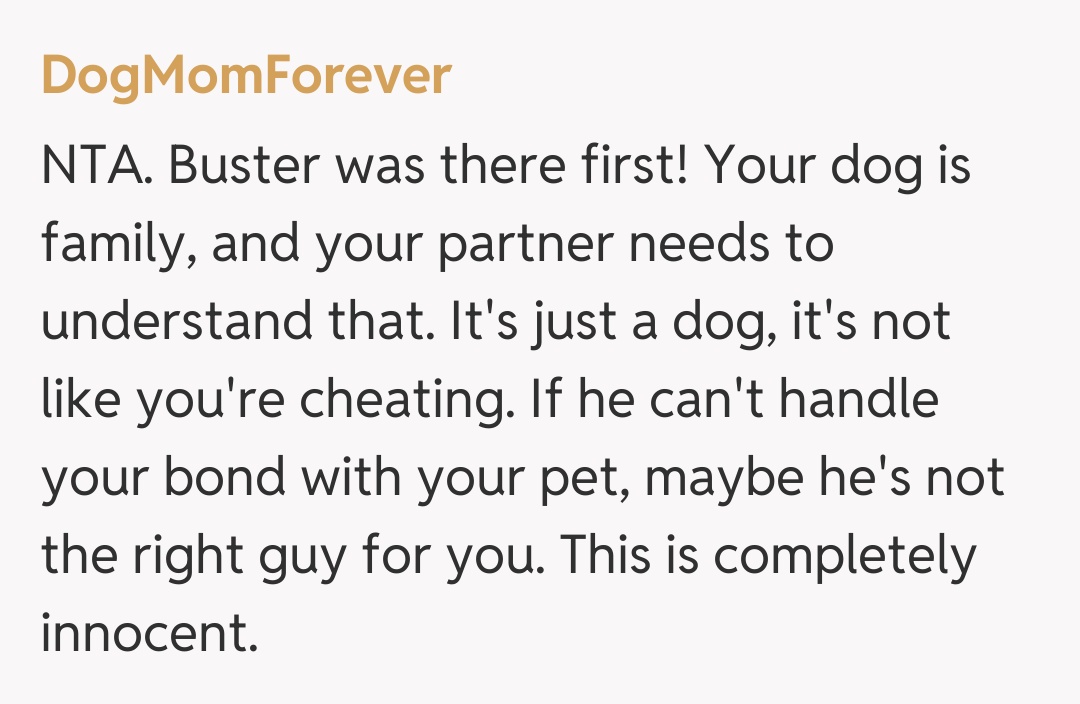Comentariu de la DogMomForever