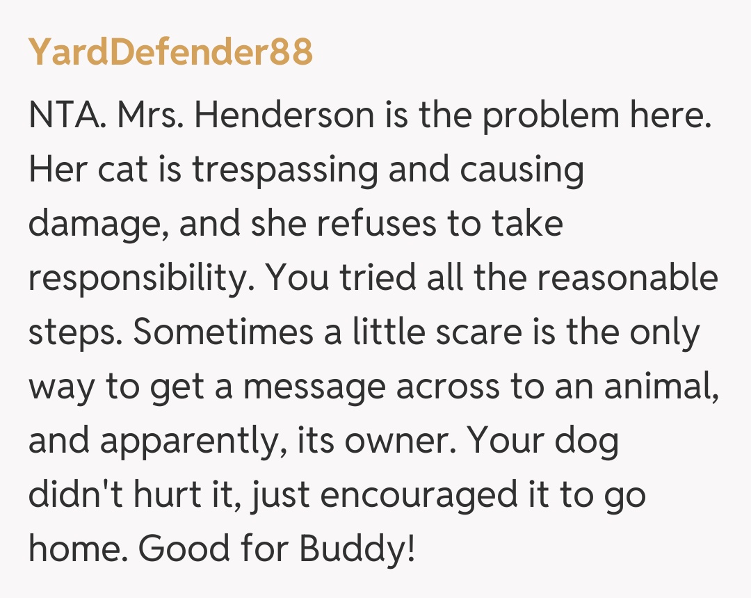 Comentariu de la YardDefender88