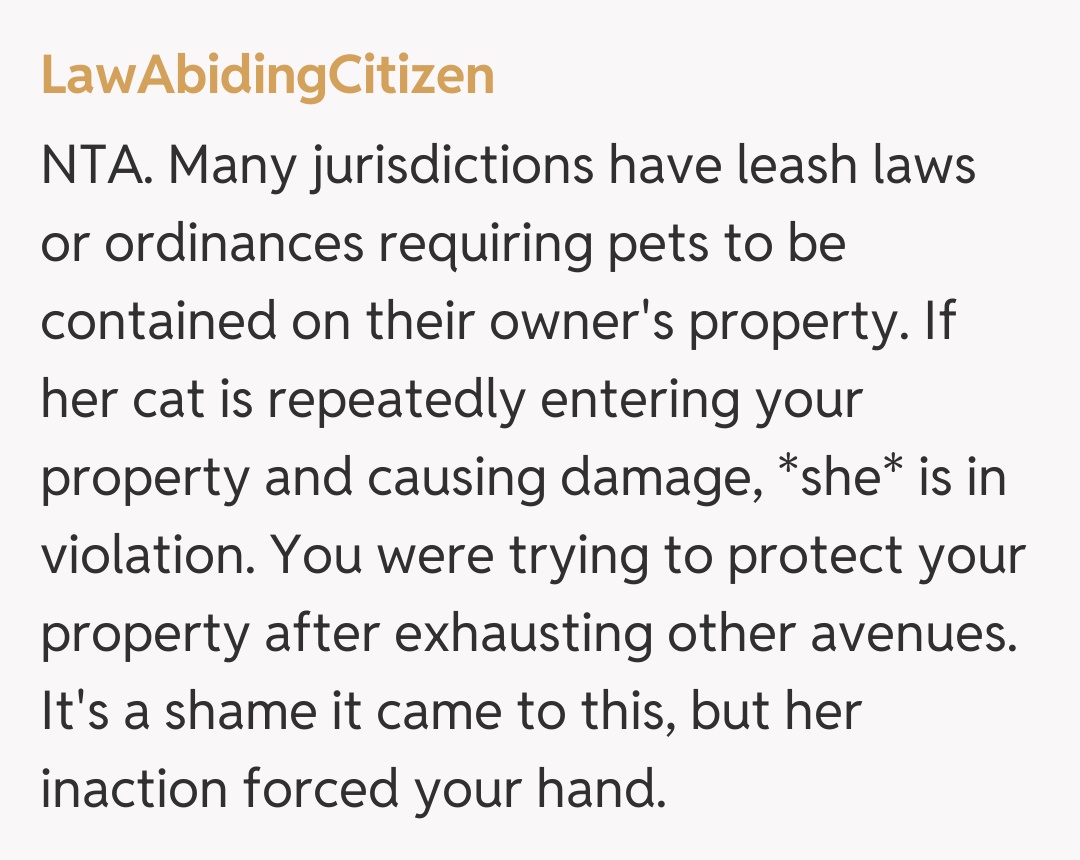 Comentariu de la LawAbidingCitizen
