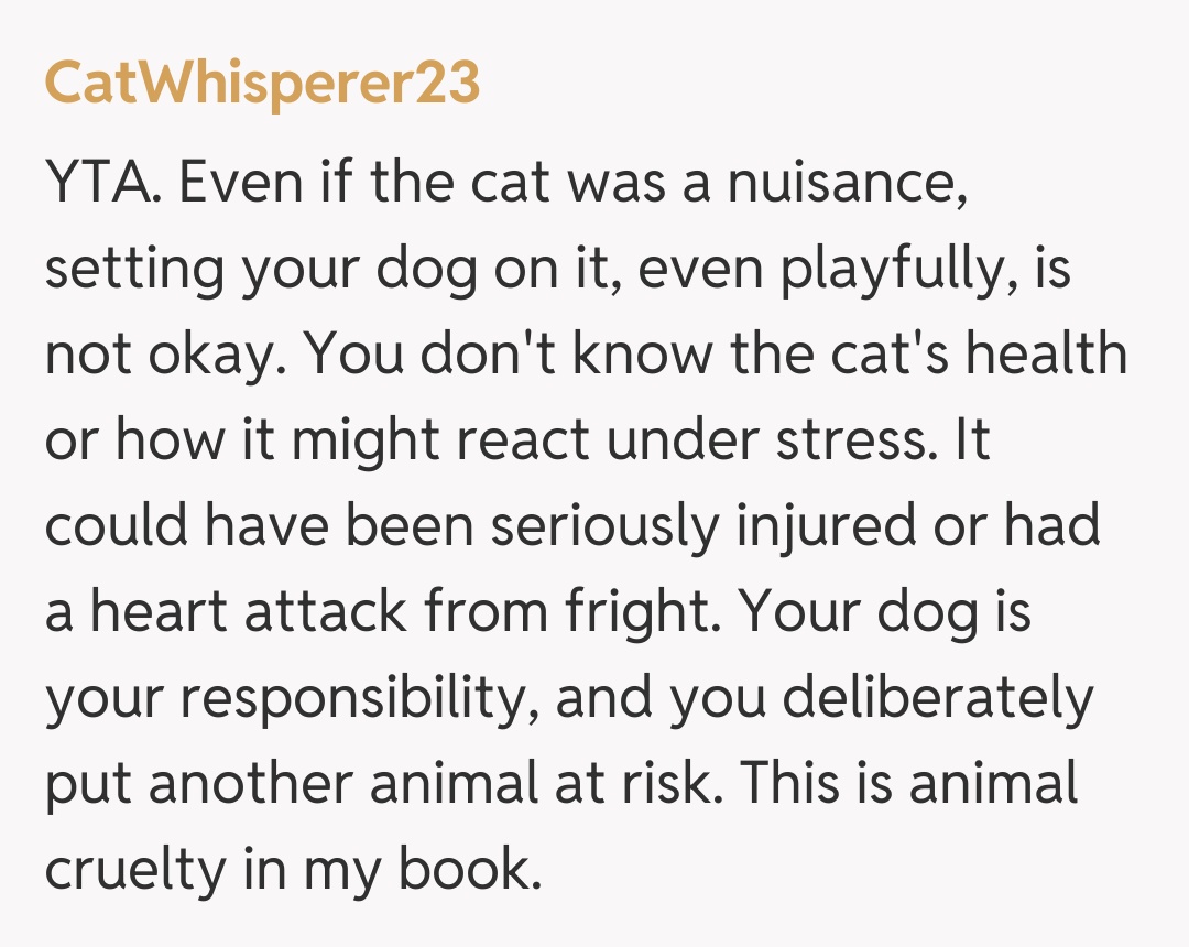 Comentariu de la CatWhisperer23