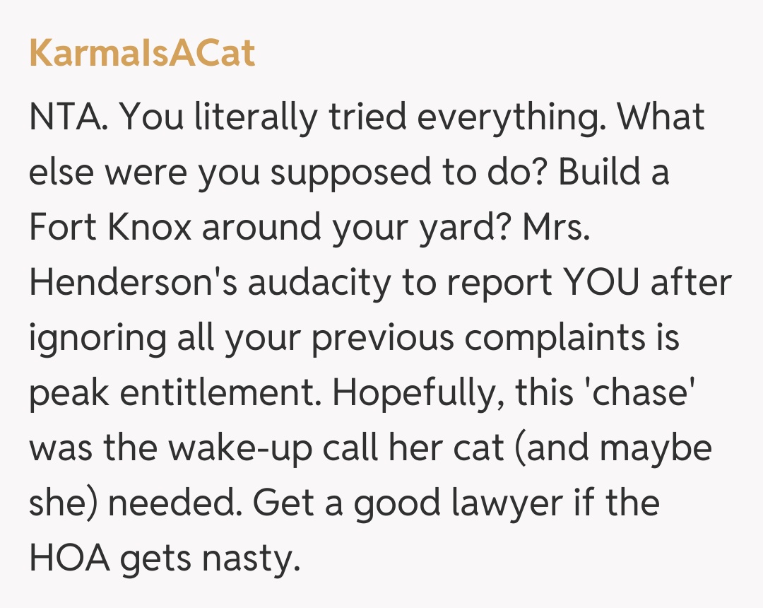 Comentariu de la KarmaIsACat
