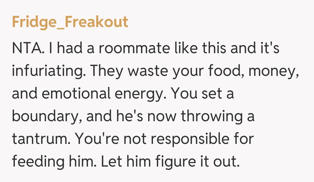 Comentariu de la Fridge_Freakout