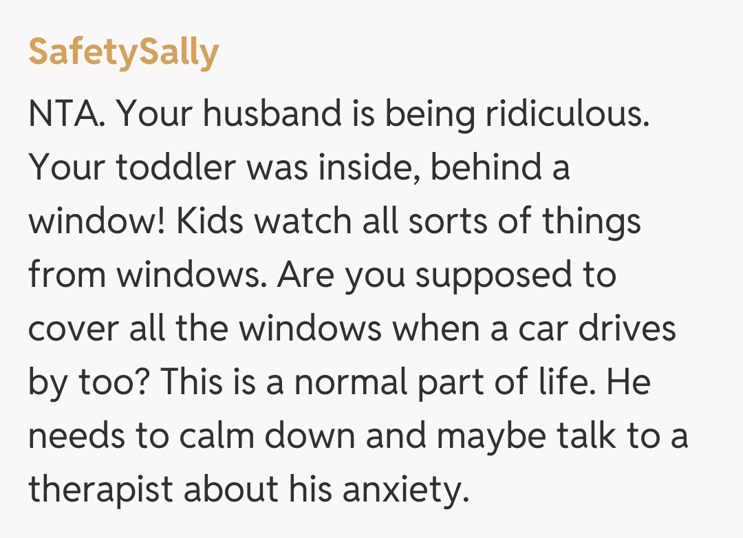 Comentariu de la SafetySally