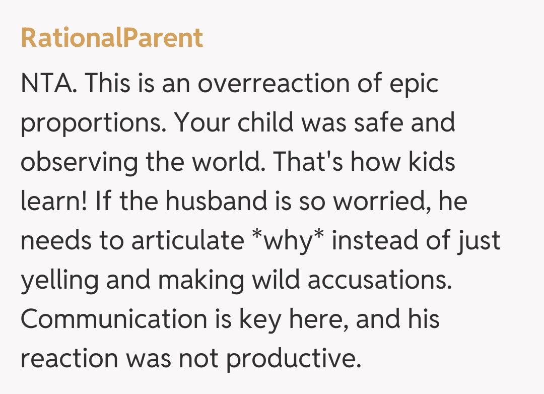 Comentariu de la RationalParent