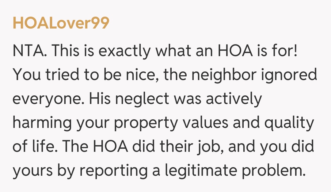 Comentariu de la HOALover99