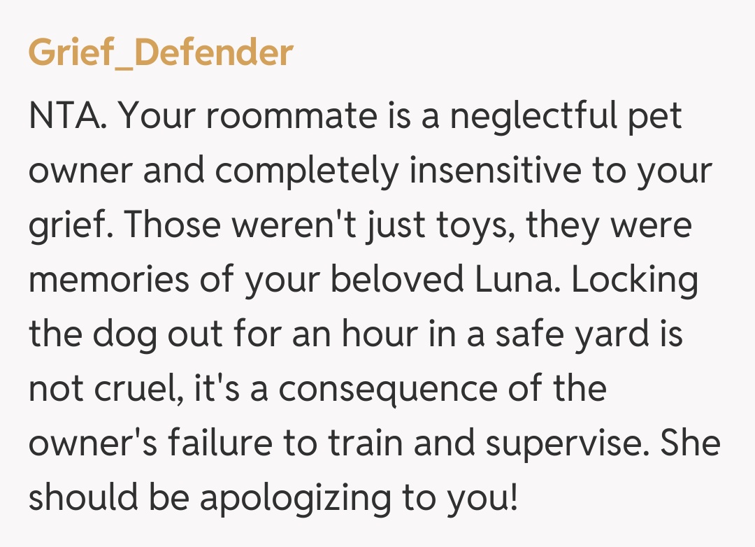 Comentariu de la Grief_Defender