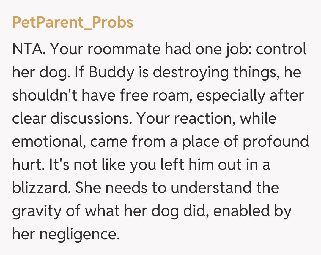 Comentariu de la PetParent_Probs