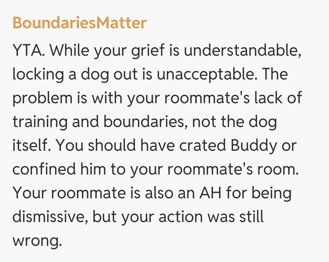 Comentariu de la BoundariesMatter