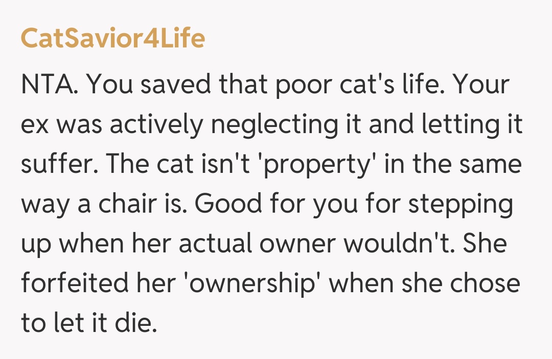 Comentariu de la CatSavior4Life