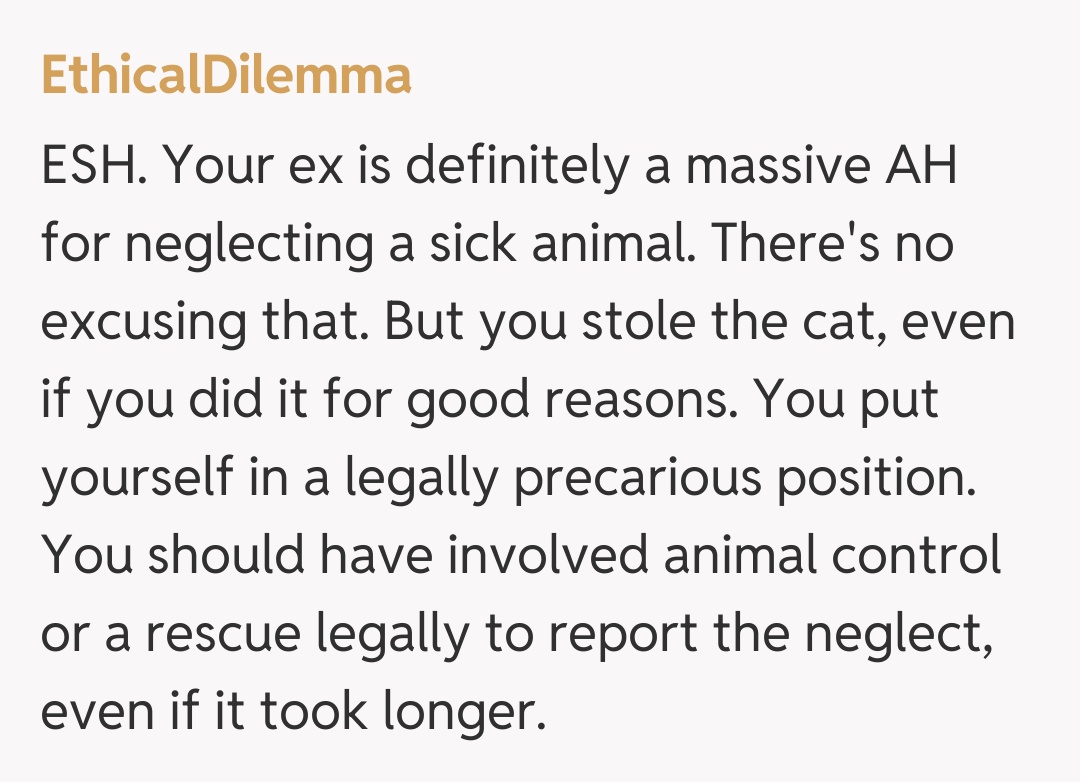 Comentariu de la EthicalDilemma