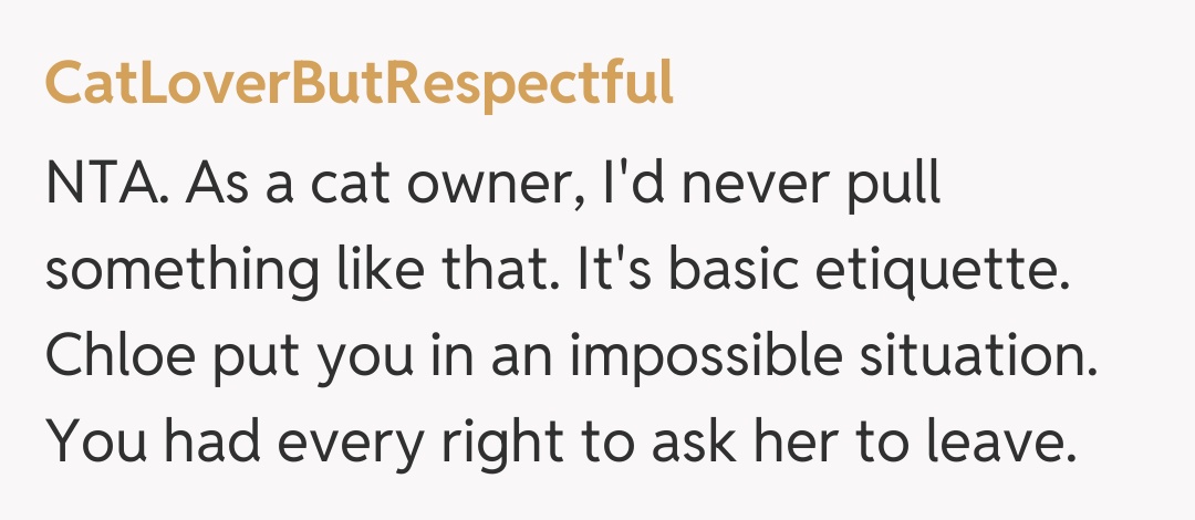 Comentariu de la CatLoverButRespectful