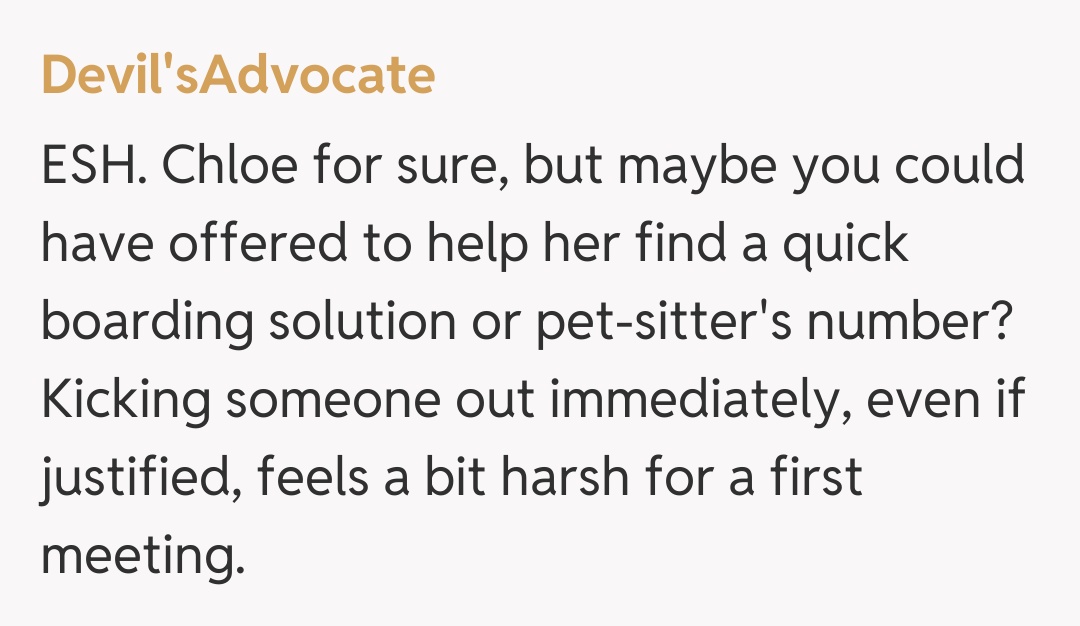 Comentariu de la Devil'sAdvocate