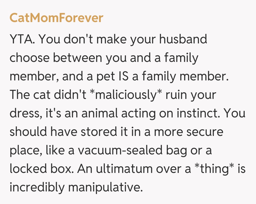 Comentariu de la CatMomForever