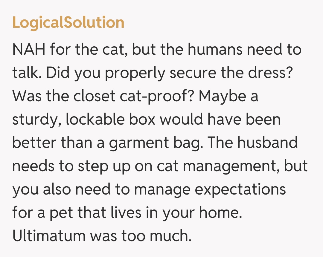 Comentariu de la LogicalSolution