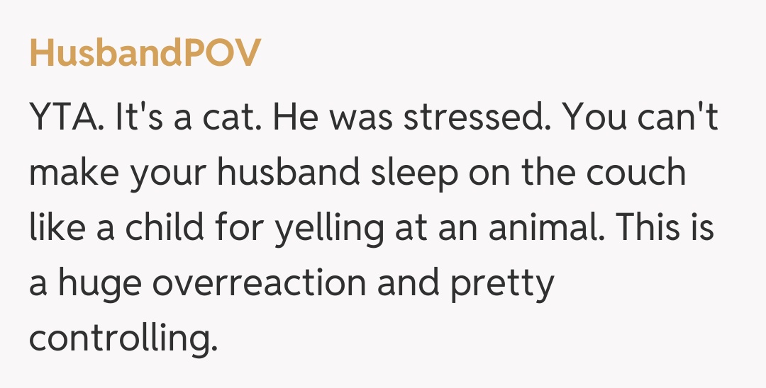 Comentariu de la HusbandPOV