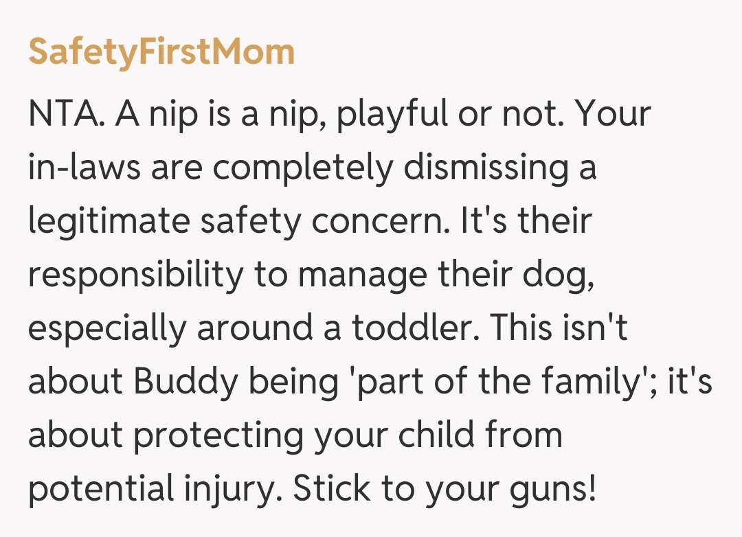 Comentariu de la SafetyFirstMom