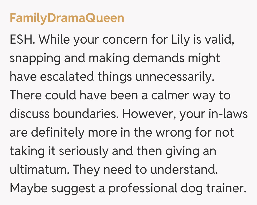 Comentariu de la FamilyDramaQueen