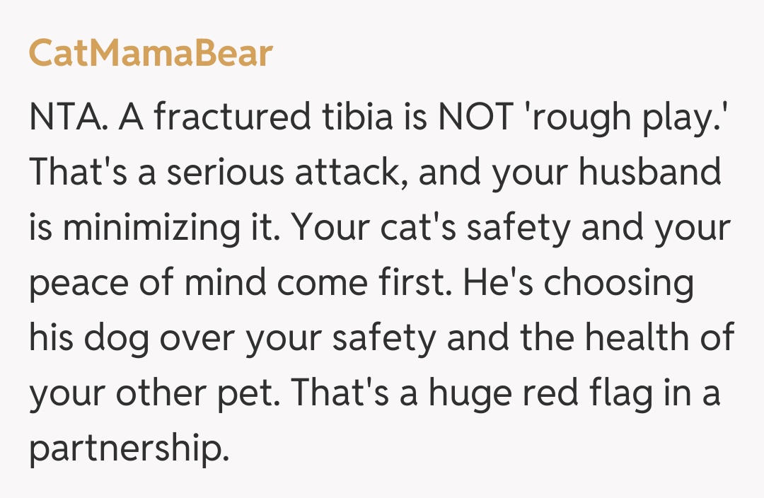 Comentariu de la CatMamaBear