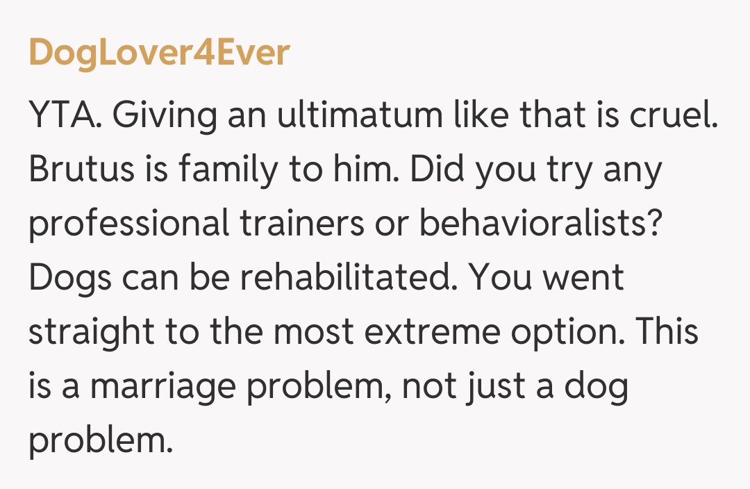 Comentariu de la DogLover4Ever