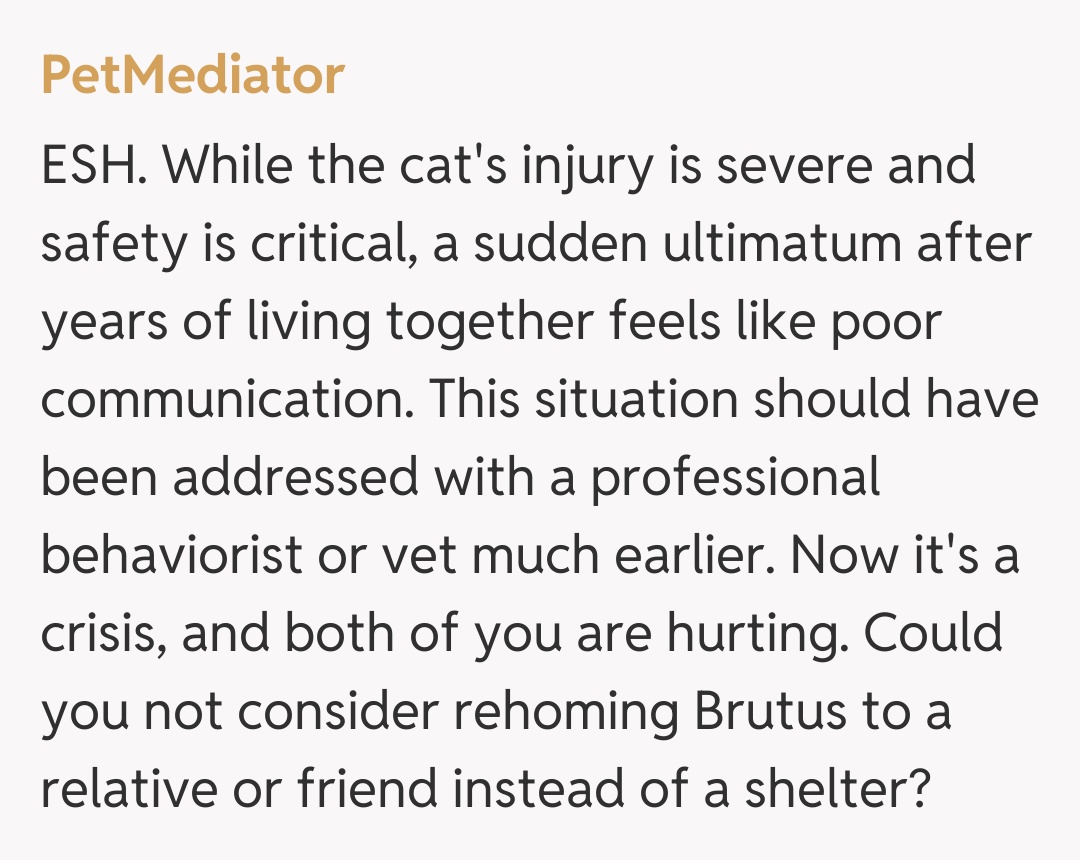 Comentariu de la PetMediator
