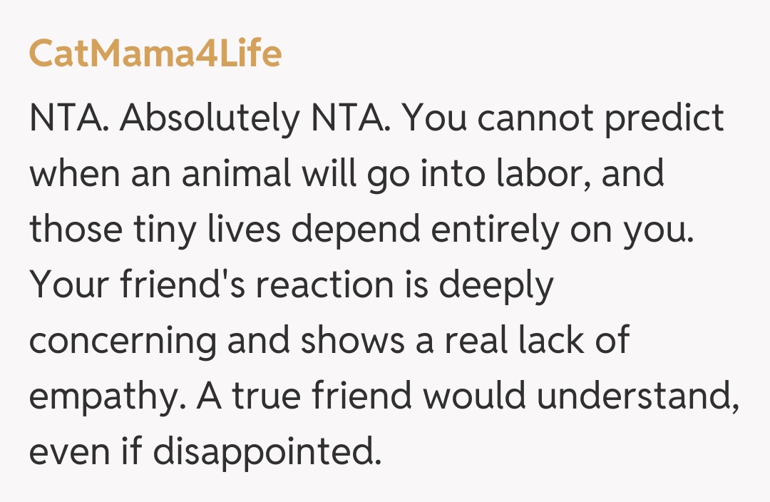 Comentariu de la CatMama4Life
