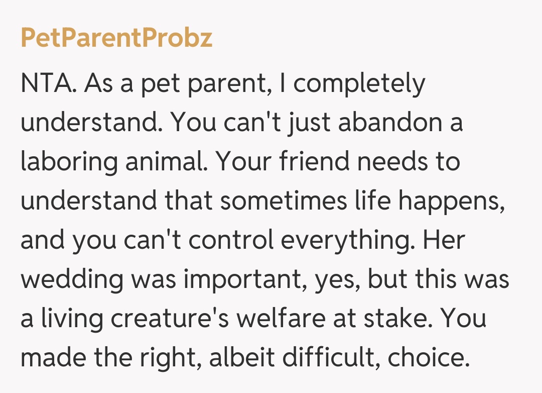 Comentariu de la PetParentProbz