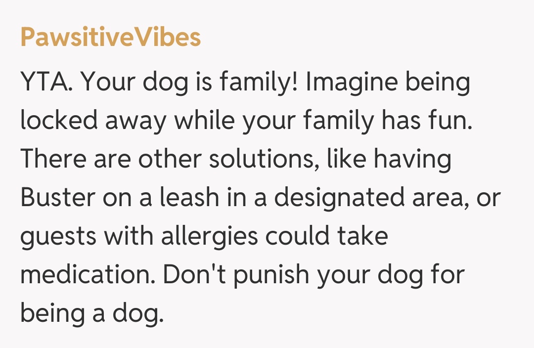 Comentariu de la PawsitiveVibes