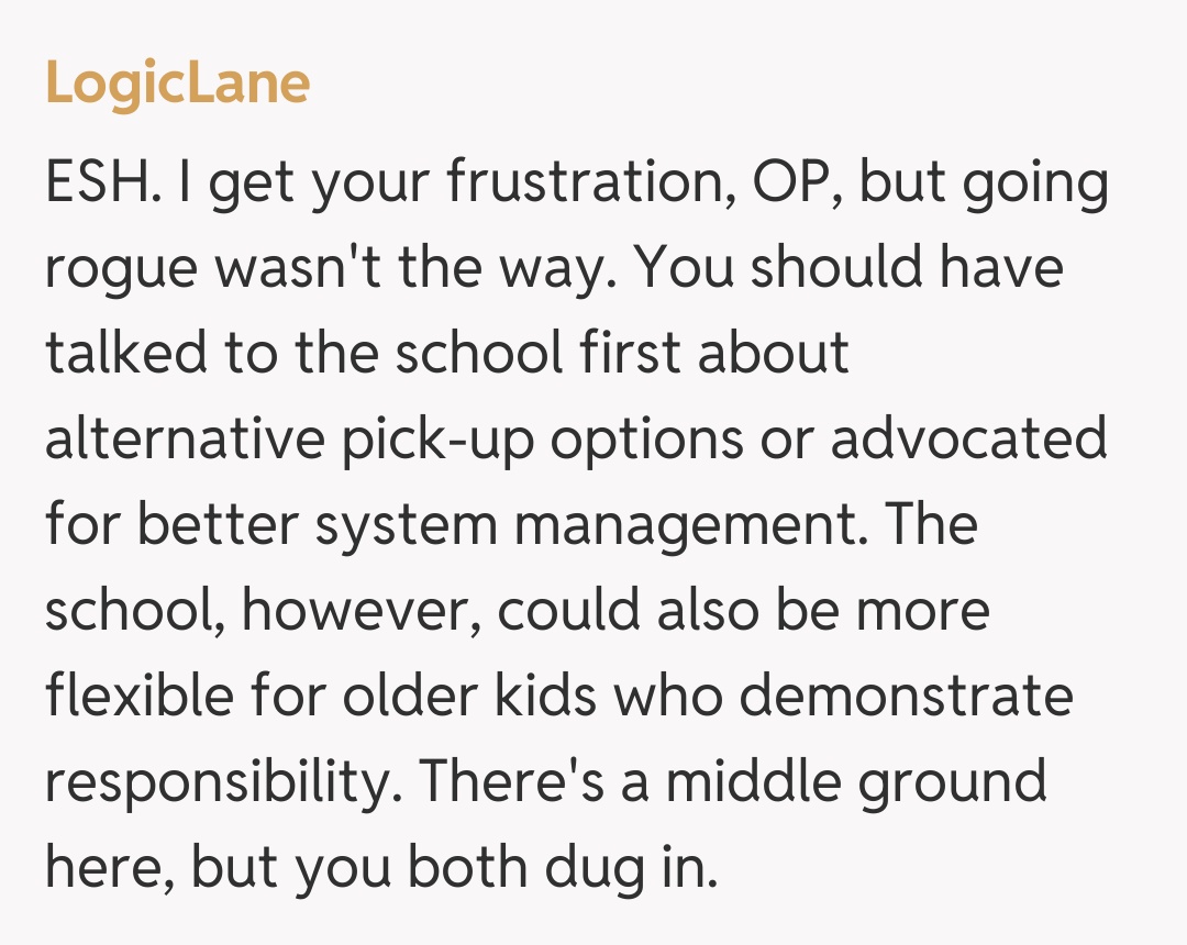 Comentariu de la LogicLane
