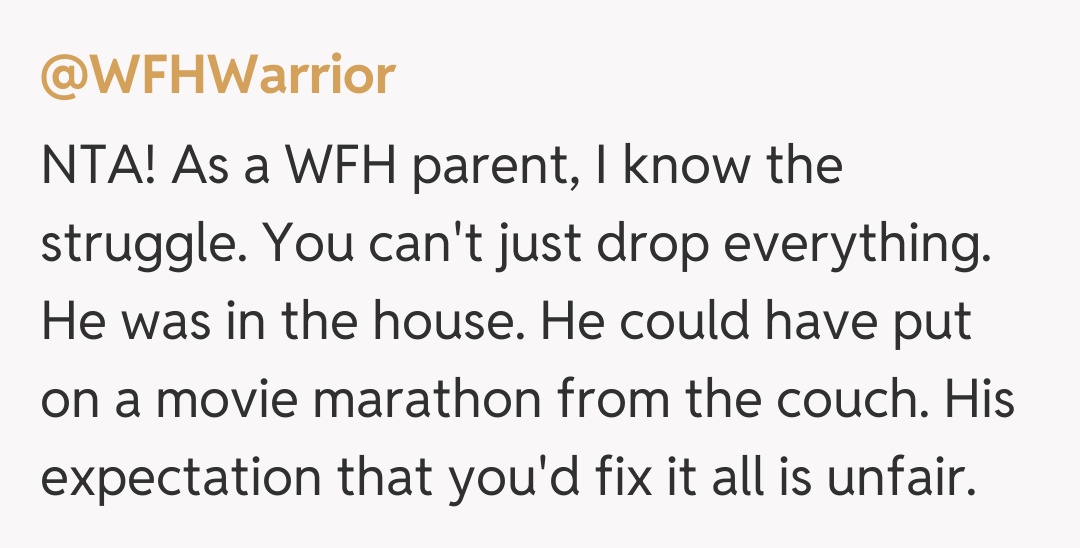 Comentariu de la @WFHWarrior