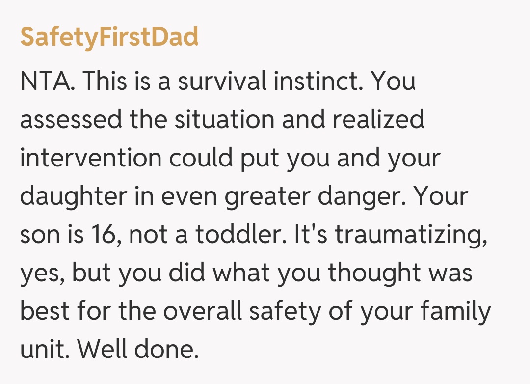 Comentariu de la SafetyFirstDad