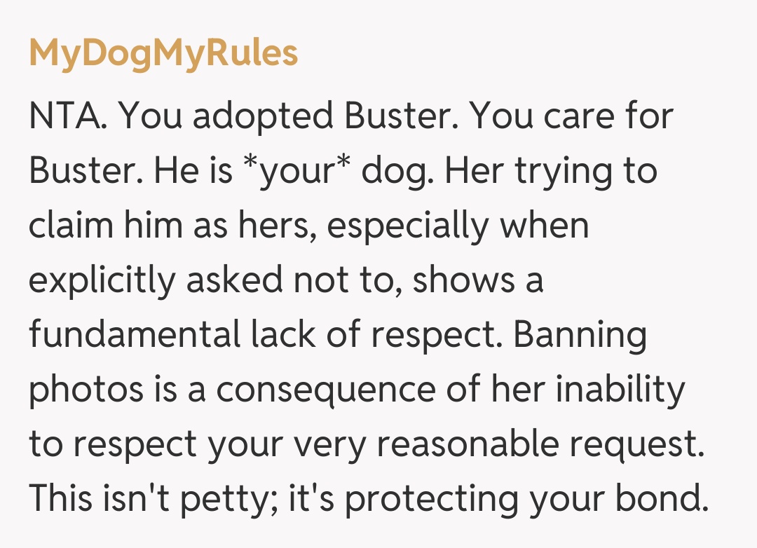 Comentariu de la MyDogMyRules