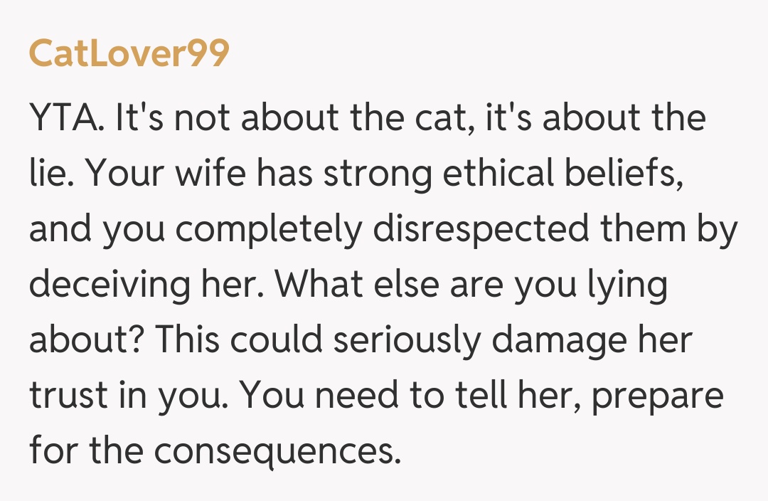 Comentariu de la CatLover99