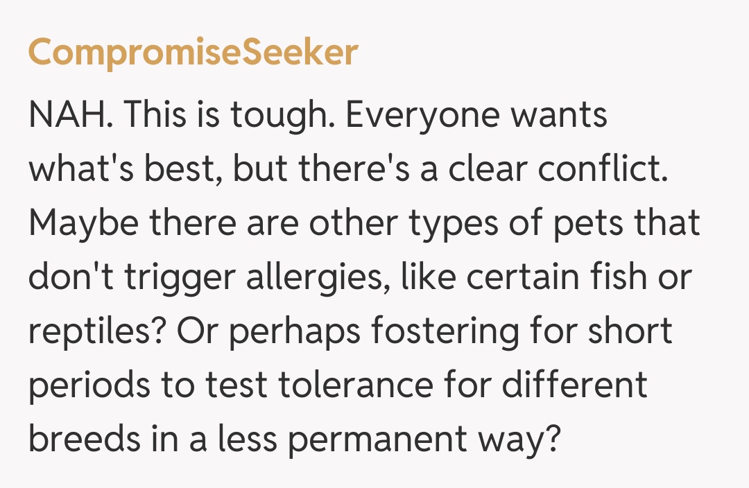 Comentariu de la CompromiseSeeker